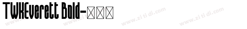 TWKEverett Bold字体转换